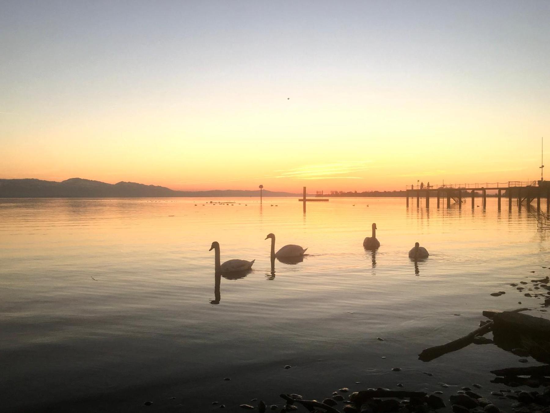 Ferienwohnung Insel-Ambiente Lindau  Eksteriør bilde